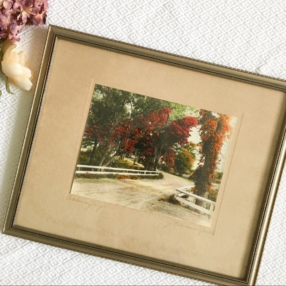 Vintage J. Robinson Neville “October’s Glory” photo